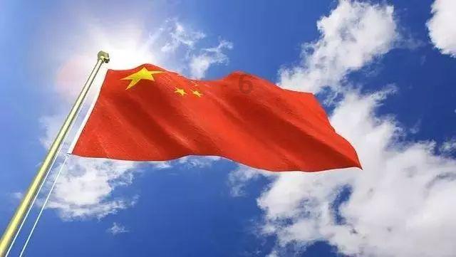 疯狂的小猫
